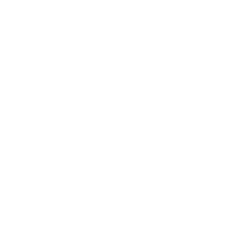 Ochraniacz